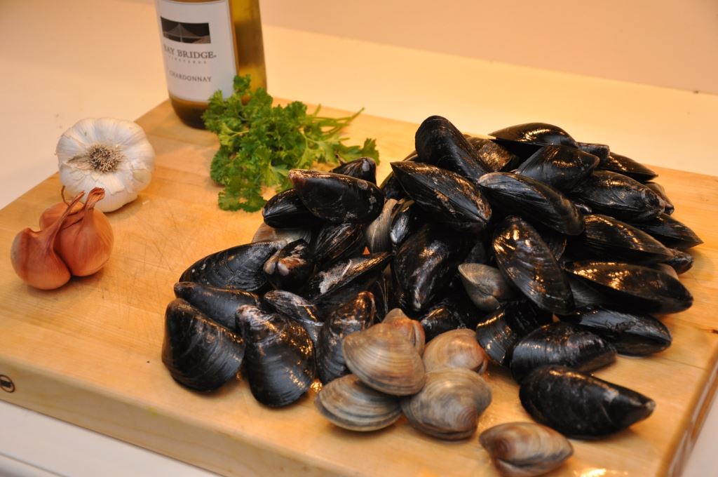 musselsandclams