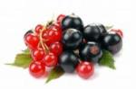 Red_black_currants